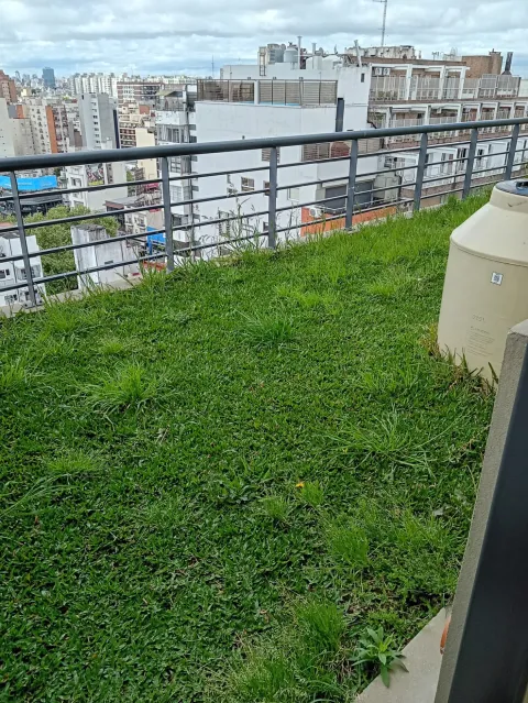 Pileta - Jardin - lavadero - Palpa